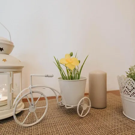 Apartman Stipe&petra * Trogir